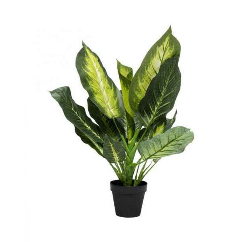 Искусственное растение декор Dieffenbachia 50cm